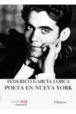 audiolibros poeta en nueva york