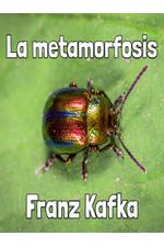 metamorfosis